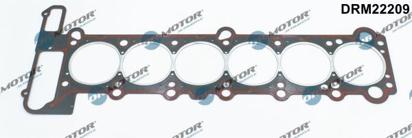 DR.MOTOR AUTOMOTIVE Pakking, cilinderkop DRM22209 DR.MOTOR AUTOMOTIVE DRM22209 Pakking, cilinderkop