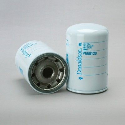 DONALDSON Filtro olio P559129 P559129 Filtro olio motore DONALDSON prezzi