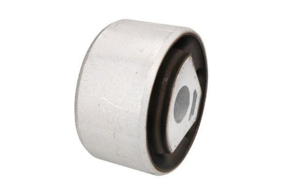 REINHOCH Ulożenie motora RH11-1089 REINHOCH RH11-1089 originálne Silentblok motora Fiat Ducato 244 Van cena