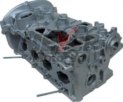 MEYER MOTOREN Zylinderkopf 013038920 MEYER MOTOREN 013038920 Zylinderkopf