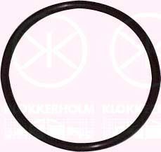 KLOKKERHOLM Guarnizione, Sensore livello carburante 95990095 95990095 costo Guarnizione, sensore livello carburante KLOKKERHOLM AUDI A8