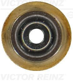 REINZ Tesniaci krúżok drieku ventilu 70-19255-00 REINZ 70-19255-00 Tesniaci krúżok drieku ventilu Kia Ceed CD lacné