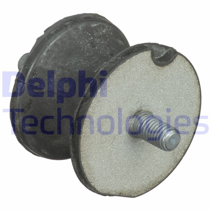 DELPHI Ulożenie automatickej prevodovky TEM123 DELPHI TEM123 Silentblok prevodovky BMW E82 cena