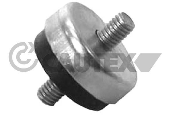 CAUTEX Suspension, radiateur 767216 CAUTEX 767216 Pièces de fixation du radiateur Audi 80 B2 prix