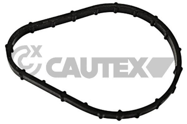 CAUTEX Packning, termostat 769250 769250 CAUTEX kylsystsemstätningar CITROЁN BERLINGO