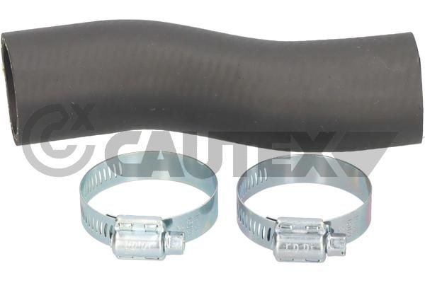 CAUTEX Ελαστ. σωλ. αέρα υπερπλήρωσης 769804 Κολάρο turbo CAUTEX 307 769804 φθηνά