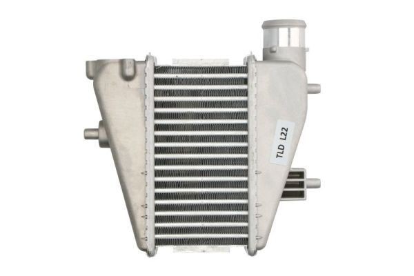 Intercooler THERMOTEC DA4001TT THERMOTEC DA4001TT: Radiator intercooler Honda CIVIC 2022