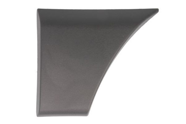 Friso, guarda-lamas BLIC 5703-08-6088375P BLIC 5703-08-6088375P: Abas de guarda-lamas Renault CLIO 2009