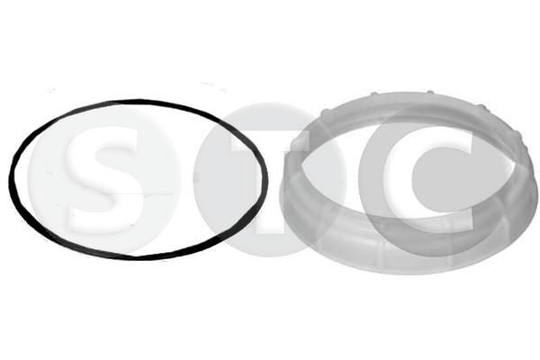STC Guarnizione, Sensore livello carburante T447600 STC T447600 Guarnizione, sensore livello carburante Ford ESCORT costo