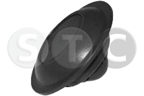 STC Pulsante bloccaggio T493875 STC T493875 Pulsante blocco FORD USA prezzo