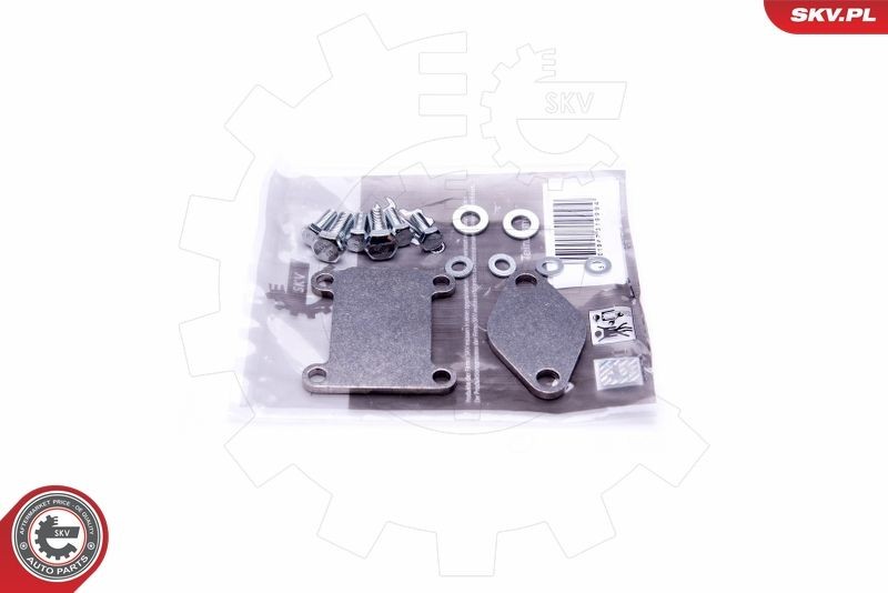 ESEN SKV Reparationssæt, induktionsrørmodul 14SKV502 14SKV502 Indsugningsmanifold pakning SAAB 9-5 ESEN SKV