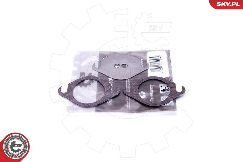 ESEN SKV Kit riparazione, modulo collettore aspirazione 14SKV503 ESEN SKV 14SKV503 Kit riparazione, modulo collettore aspirazione