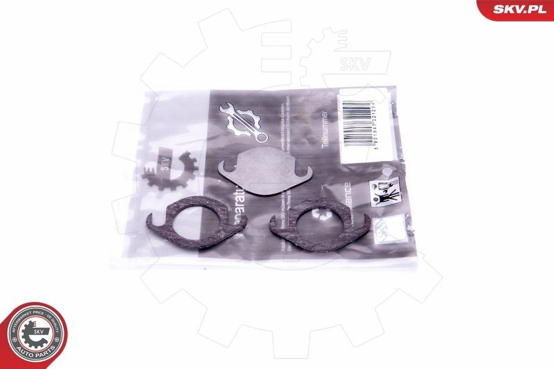 Reparatursatz, Saugrohrmodul ESEN SKV 14SKV506 ESEN SKV 14SKV506: Ansaugkrümmerdichtung Audi A6 2021