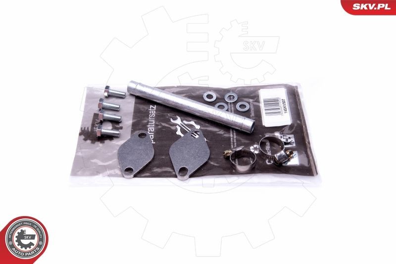 ESEN SKV Reparationssats, sugrörsmodul 14SKV507 14SKV507 ESEN SKV packning insugsgrenrör Alfa Romeo STELVIO