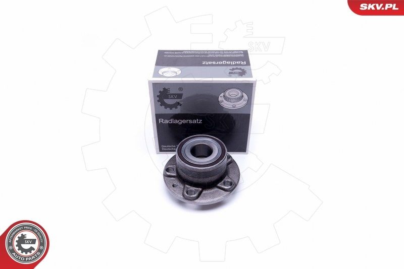 ESEN SKV Wiellagerset 29SKV413 ESEN SKV 29SKV413 Wiellager CITROЁN C8 kosten