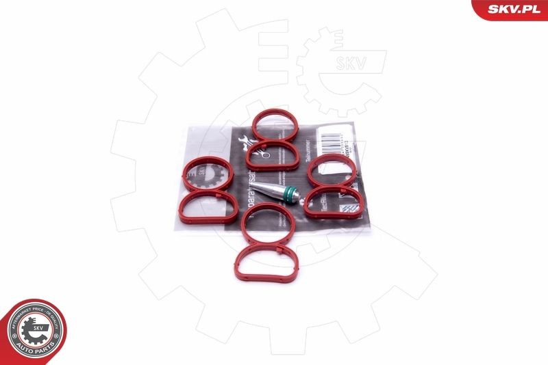 ESEN SKV Pakningssæt, indsugningsmanifold 49SKV513 Indsugningsmanifold pakning ESEN SKV Opel ADAM 49SKV513