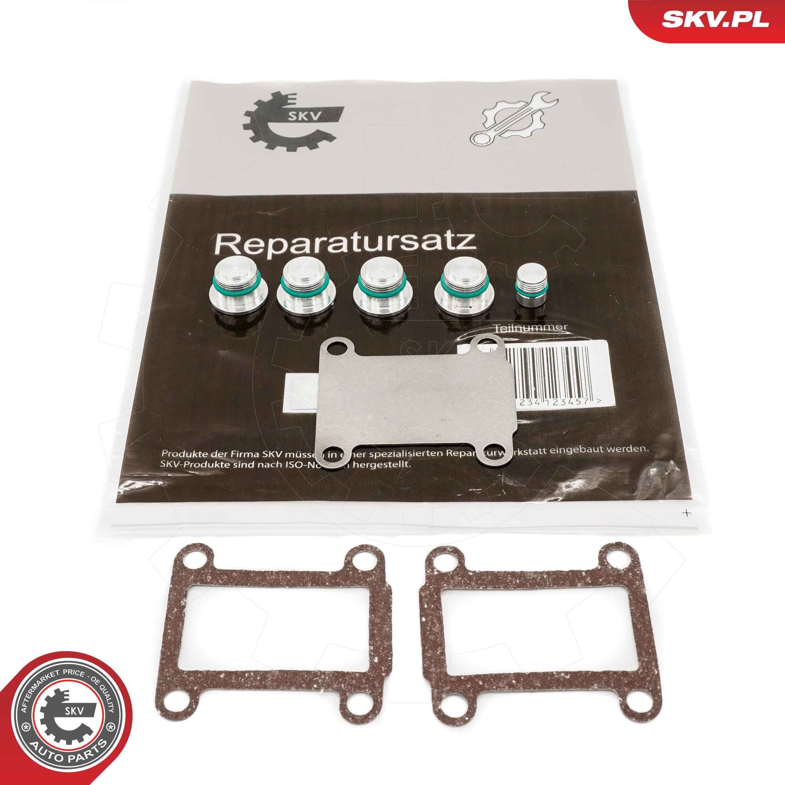ESEN SKV Kit de réparation, module de tube d’aspiration 49SKV525 49SKV525 Joint collecteur d'admission ESEN SKV SMART CITY-COUPE