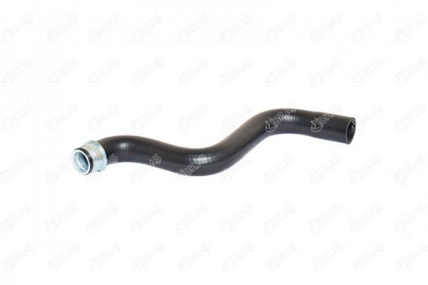 IBRAS Kølerslange 14891 14891 Radiator slange FIAT DUCATO IBRAS