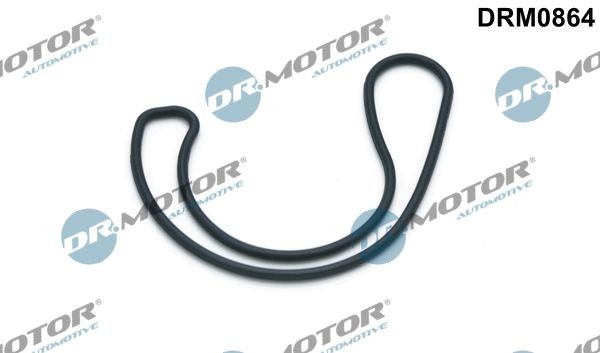 DR.MOTOR AUTOMOTIVE Tesnenie, AGR-Ventil DRM0864 DR.MOTOR AUTOMOTIVE DRM0864 Tesnenie, agr-ventil Mercedes W168 cena