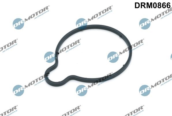 DR.MOTOR AUTOMOTIVE Tiiviste, alipainepumppu DRM0866 NISSAN TOWNSTAR alipainepumppu DR.MOTOR AUTOMOTIVE DRM0866
