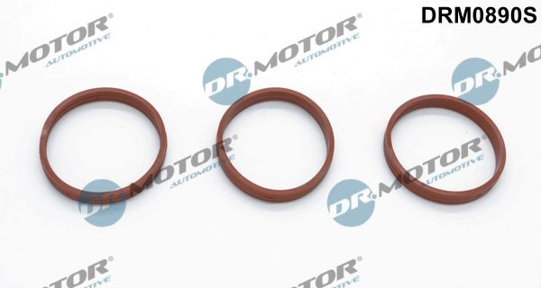 DR.MOTOR AUTOMOTIVE Σετ στεγανοποίησης, πολλαπλή εισαγωγής DRM0890S Τσιμουχα πολλαπλής εισαγωγής Toyota TRN2_, GRN2_ DRM0890S DR.MOTOR AUTOMOTIVE