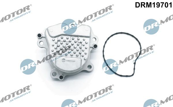 DR.MOTOR AUTOMOTIVE Bomba de agua DRM19701 DR.MOTOR AUTOMOTIVE Bomba de agua DRM19701 experiencia