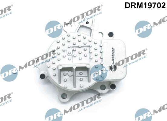 DR.MOTOR AUTOMOTIVE Vattenpump DRM19702 DR.MOTOR AUTOMOTIVE DRM19702 Vattenpump
