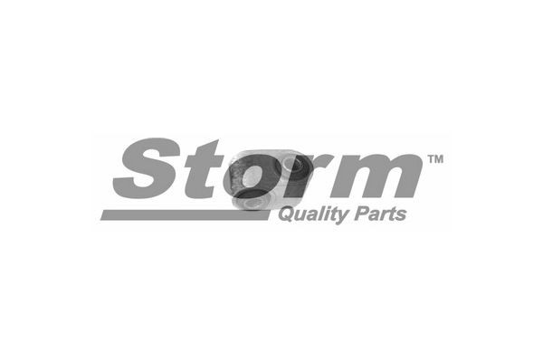 STORM QUALITY PARTS Led, ratstamme F0152 STORM QUALITY PARTS F0152 30 Hatchback Led, ratstamme pris