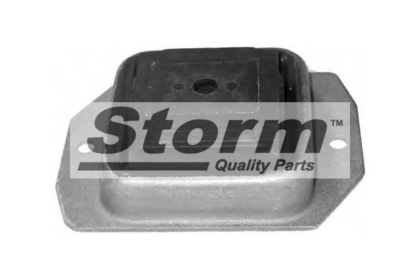 STORM QUALITY PARTS Upphängning, axelstomme F2437 F2437 STORM QUALITY PARTS axelupphängning PEUGEOT 206