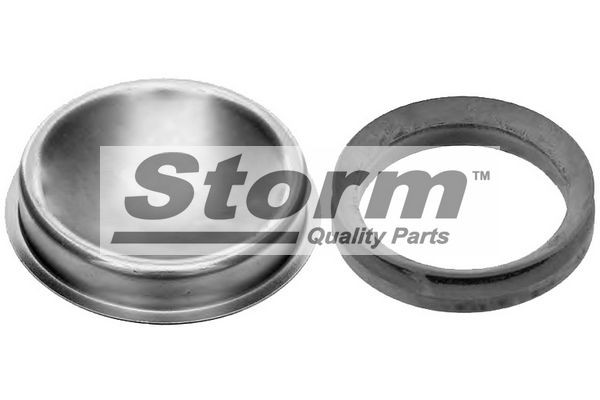 STORM QUALITY PARTS Tesniaci krúżok, Náboj kolesa F4719 STORM QUALITY PARTS F4719 Tesniaci krúżok hriadeľa náboja kolesa Fiat Coupe 175 cena