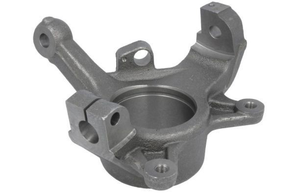 Akseltapp, hjulopphengning REINHOCH RH08-5021 REINHOCH RH08-5021: Styrespindel Renault SCÉNIC 2004
