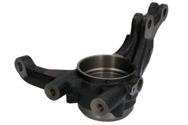 REINHOCH Fuseestuk RH08-7003 REINHOCH RH08-7003 Fuseepen Hyundai Terracan HP originele prijs
