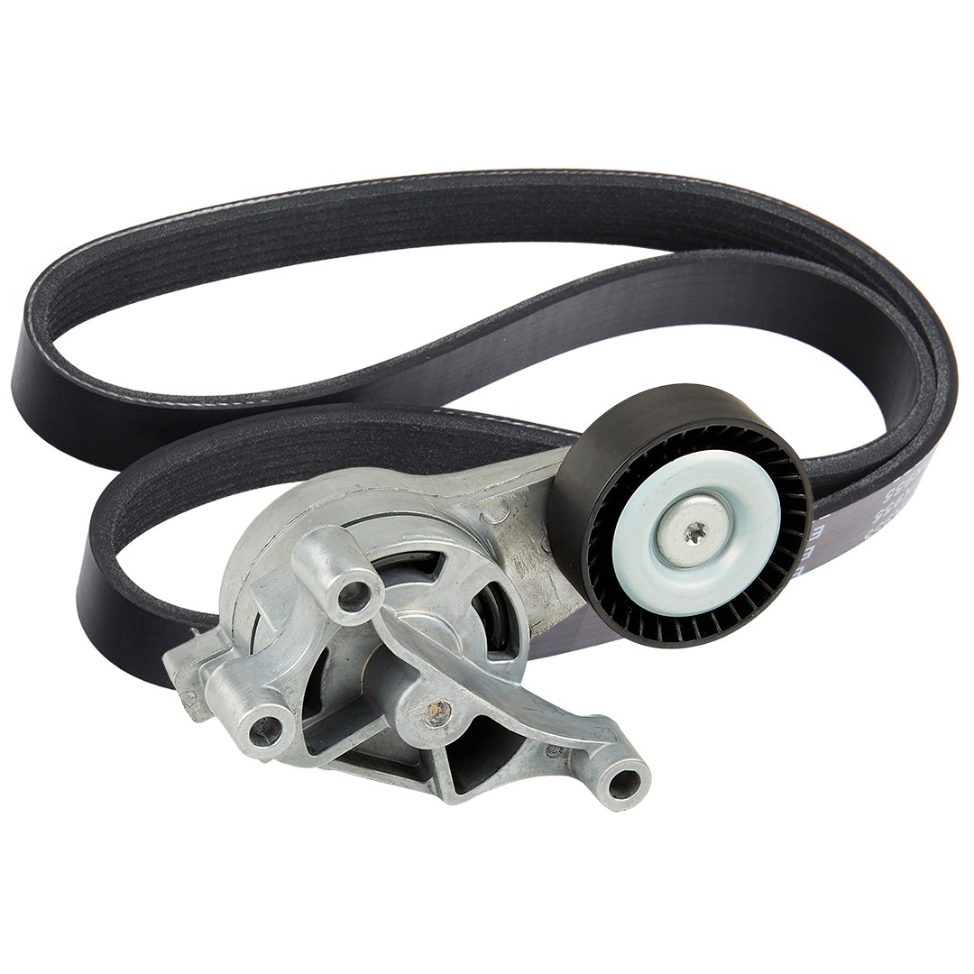 RIDEX Σετ ιμάντων poly-V 542R0948 Σετ ιμάντων poly-v RIDEX KODIAQ 542R0948 φθηνά