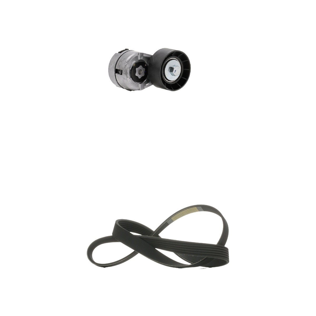 RIDEX Kileremsett 542R1008 542R1008 Multireim sett ALFA ROMEO 155 RIDEX