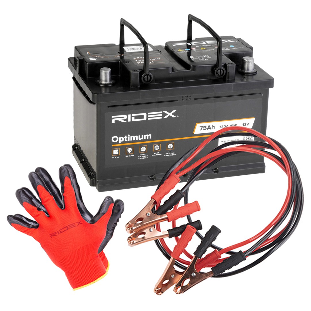 RIDEX Μπαταρία εκκίνησης 1S0280 1S0280 Μπαταρία FORD USA ECONOLINE RIDEX