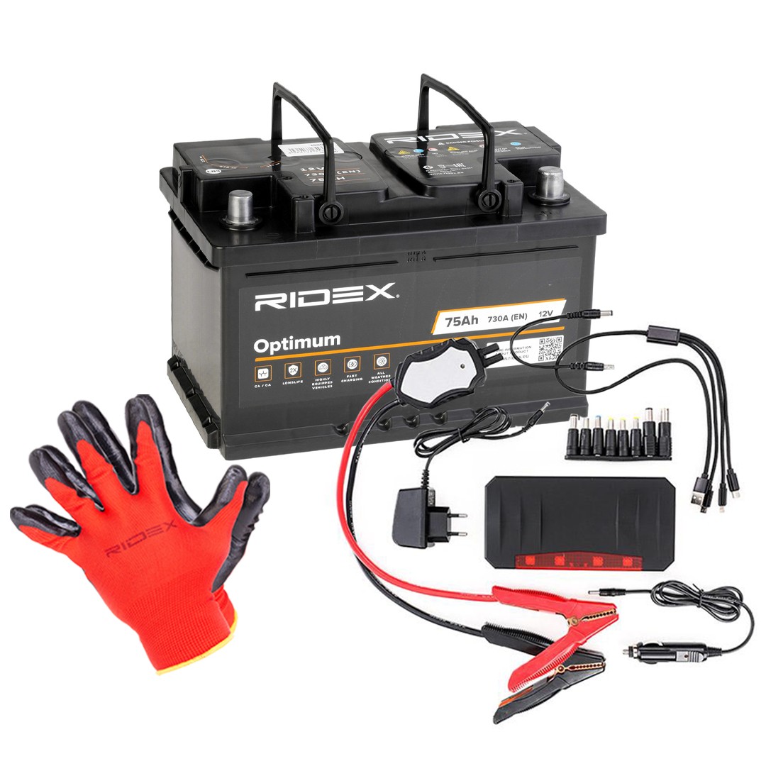 RIDEX Startbatteri 1S0290 1S0290 Bilbatteri RIDEX MAZDA CX-3
