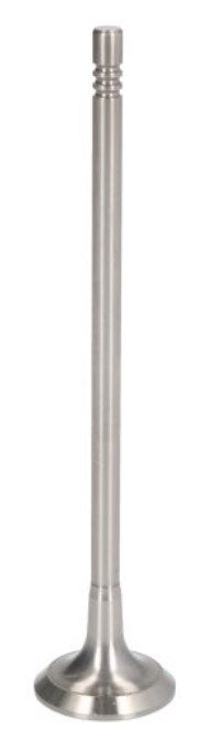 Pakoventtiili AMP PFIA300-B-0-N AMP PFIA300-B-0-N ALFA ROMEO 147 2004 Pakoventtiili