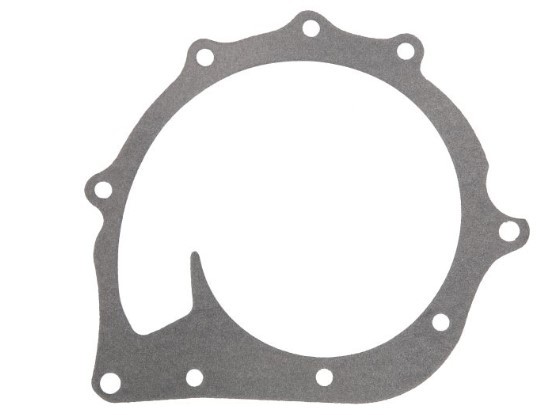 LEMA Gasket, water pump 24246.12 24246.12 LEMA water pump gasket for MITSUBISHI L200