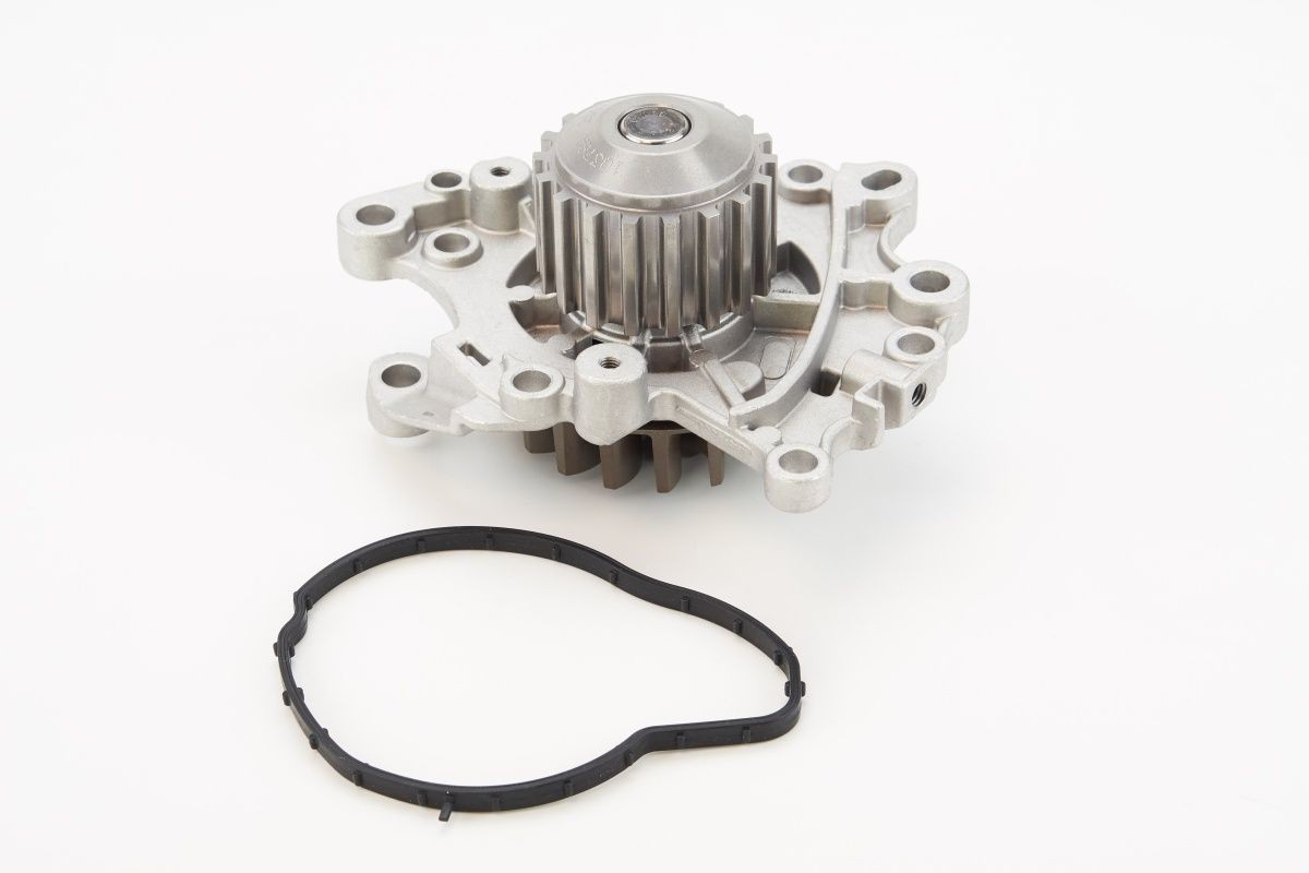 Water pump CONTITECH WP6136 CONTITECH WP6136 Ford PUMA 2024 Water pumps price