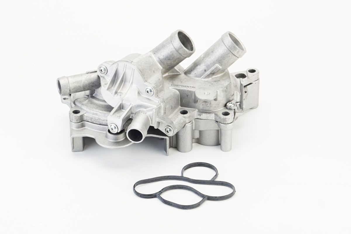 Pompe à eau CONTITECH WP6138 CONTITECH WP6138 Pompe du liquide de refroidissement Volkswagen POLO 2015