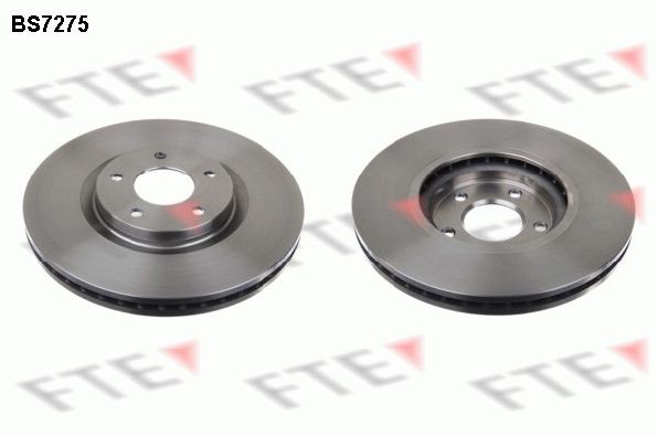 FTE Disque de frein 9071070 Disques de frein FTE 75 9071070 pas cher