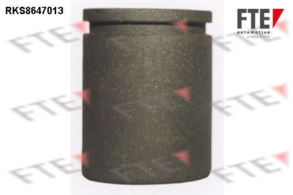 FTE Piston, étrier de frein 9313076 FTE Piston d'étrier de frein AUDI 9313076