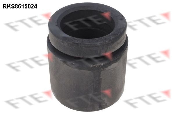 FTE Virzulis, Bremžu suports 9313139 9313139 Bremžu šasijas virzulis BMW 4. Sērija FTE