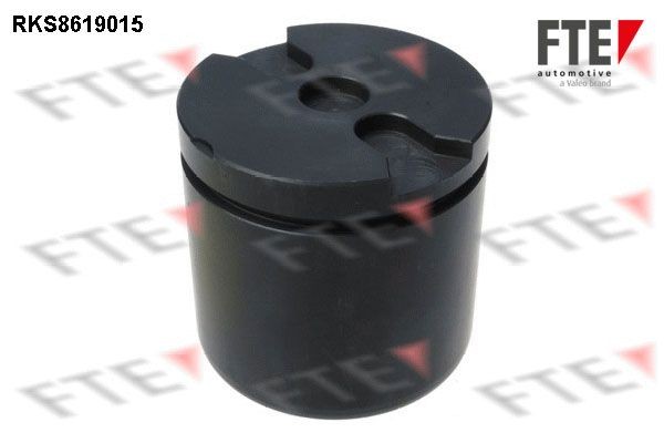 FTE Piest brzdového strmeňa 9313158 Piest brzdového strmeňa FTE Citroën C1 9313158