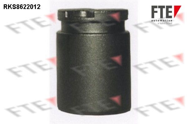 FTE Êmbolo, pinça do travão 9313174 9313174 Êmbolo pinça do travão FTE NISSAN PRIMERA