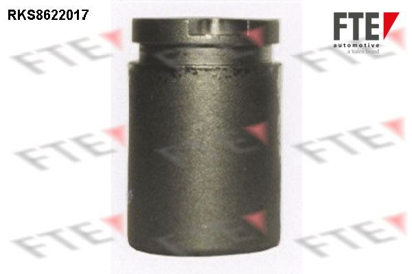 FTE Zuiger, remklauw 9313178 Nissan SKYLINE Zuiger remklauw FTE 9313178