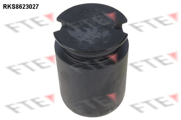 FTE Êmbolo, pinça do travão 9313209 Êmbolo pinça do travão FTE Fiat UNO 9313209