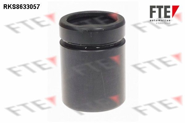 FTE Piston, étrier de frein 9313296 9313296 Piston d'étrier de frein MERCEDES-BENZ Classe E FTE