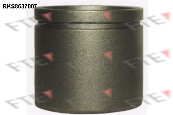 FTE Stempel, bremsekaliper 9313350 Stempel bremsekaliper FTE Peugeot 206 9313350