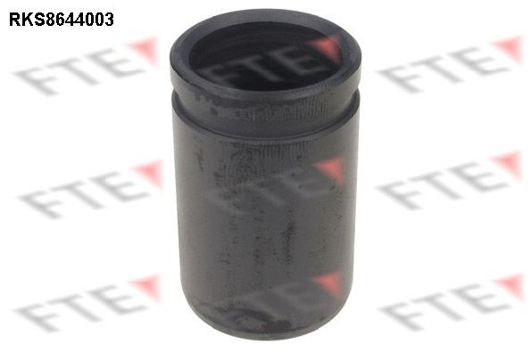 FTE Piest brzdového strmeňa 9313379 9313379 Piest brzdového strmeňa MERCEDES-BENZ SL FTE